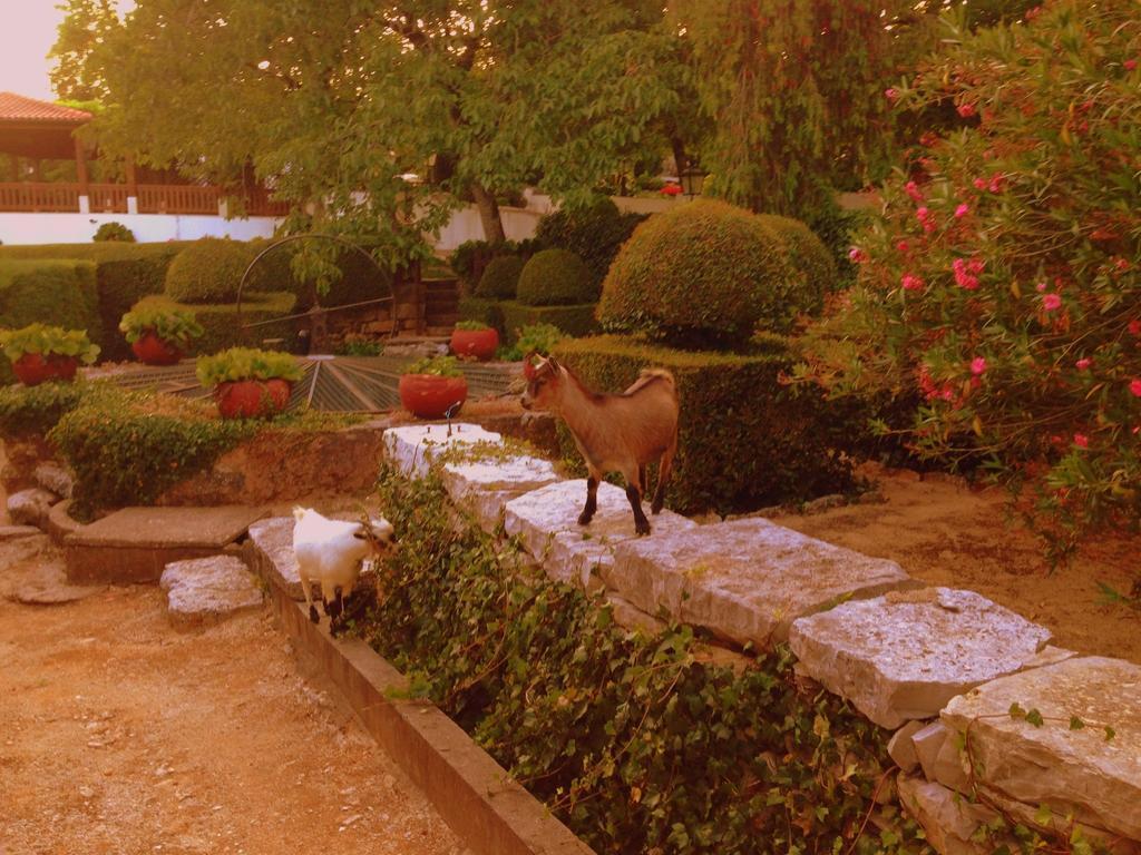 Otium Country House Alvorge エクステリア 写真